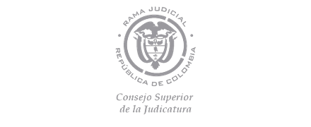 Consejor Superior De La Judicatura